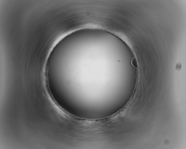 X0000102391056200808011555