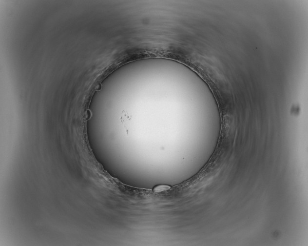 X0000102391057200808011555