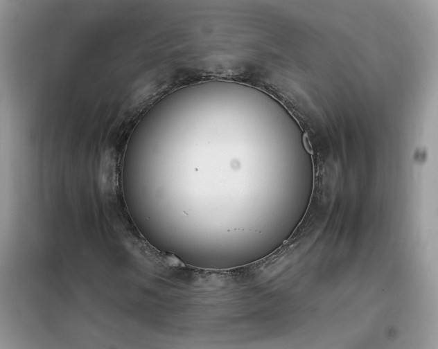 X0000102391058200808011555