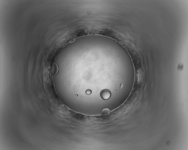 X0000102391059200808011555