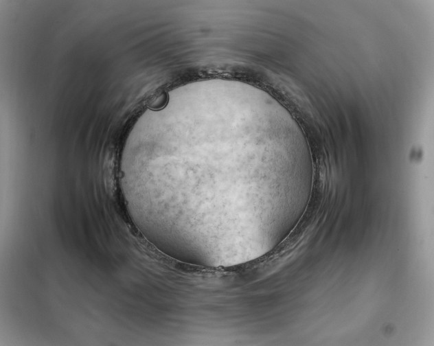 X0000102391060200808011555