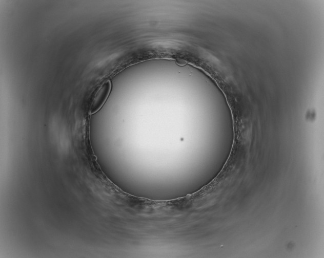 X0000102391061200808011555