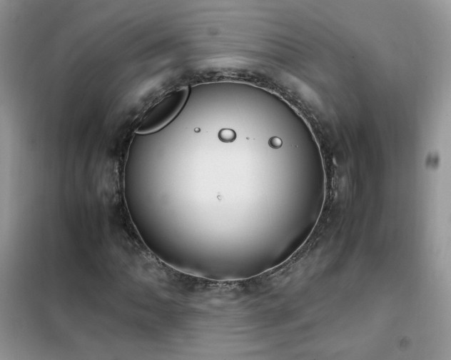 X0000102391062200808011555