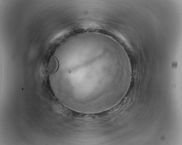 X0000102391063200808011555