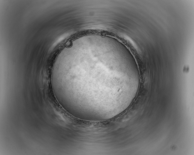 X0000102391064200808011555