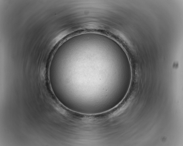 X0000102391065200808011555