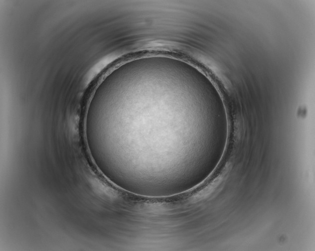 X0000102391066200808011555