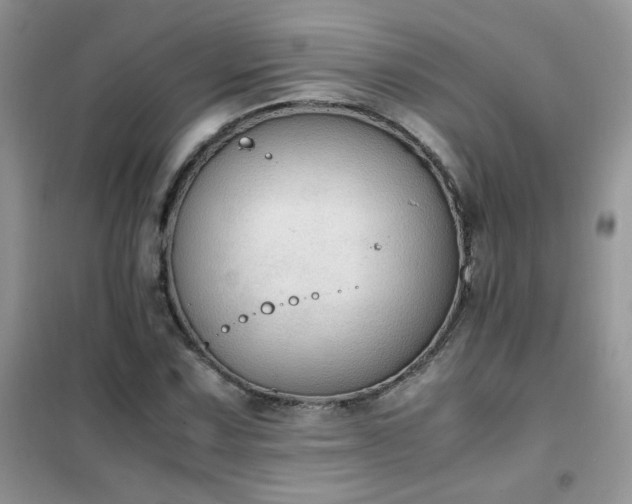 X0000102391067200808011555