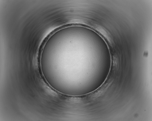 X0000102391068200808011555