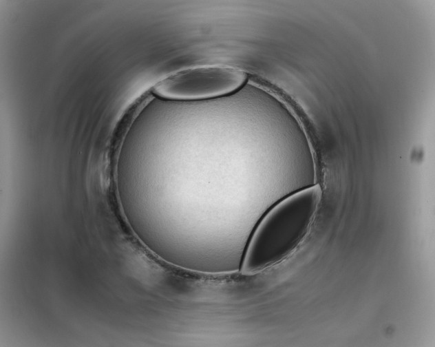 X0000102391069200808011555