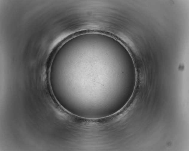 X0000102391070200808011554