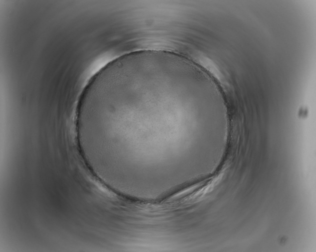 X0000102391071200808011554