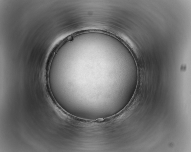 X0000102391072200808011554