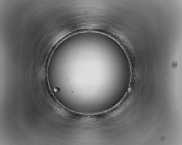 X0000102391073200808011554