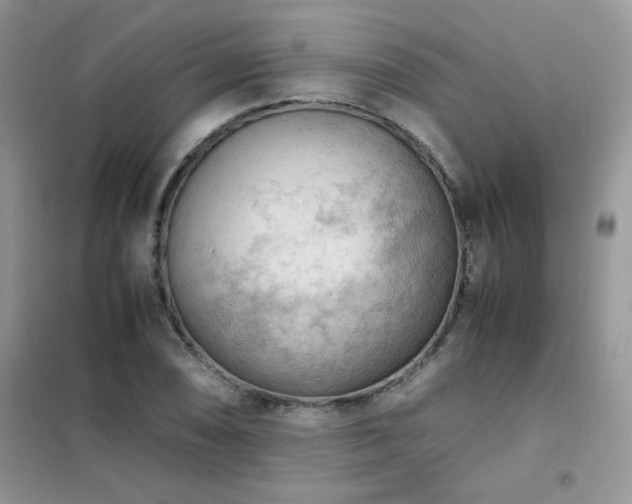 X0000102391074200808011554