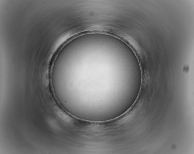 X0000102391075200808011554