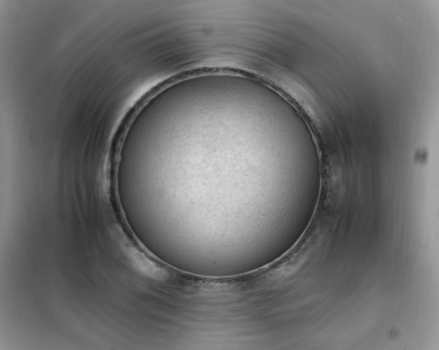 X0000102391076200808011554