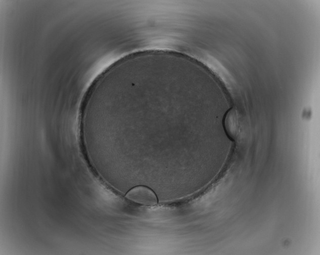 X0000102391077200808011554