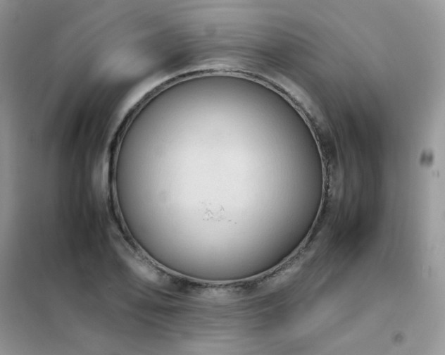 X0000102391078200808011554