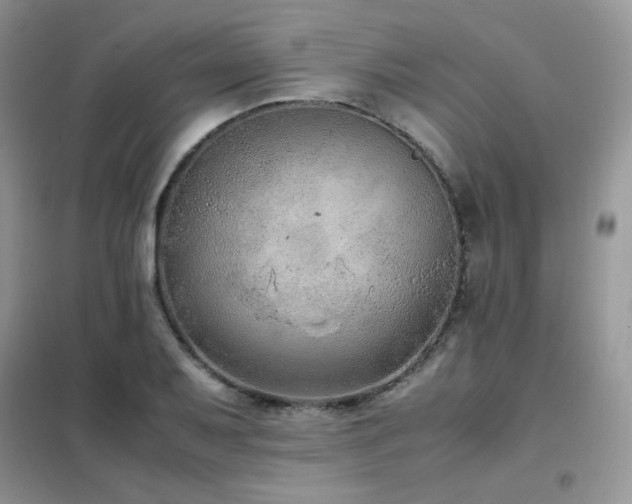 X0000102391079200808011554