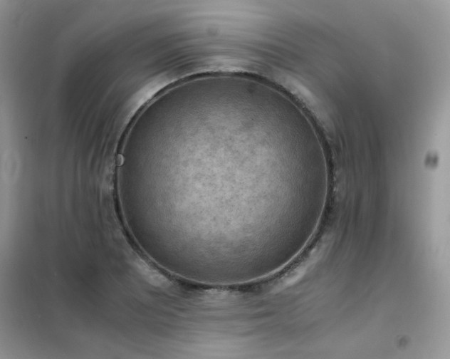 X0000102391081200808011554