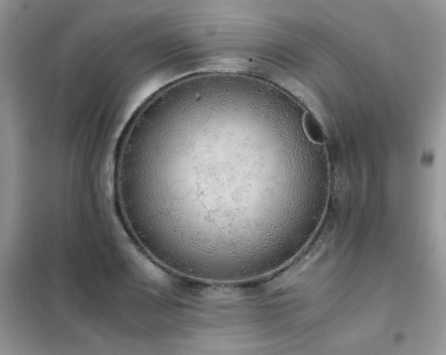 X0000102391083200808011554