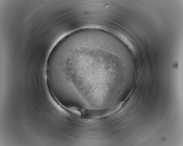 X0000102391084200808011554