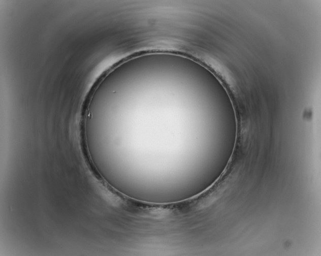 X0000102391085200808011554