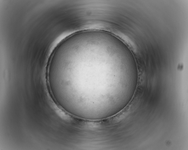 X0000102391086200808011554