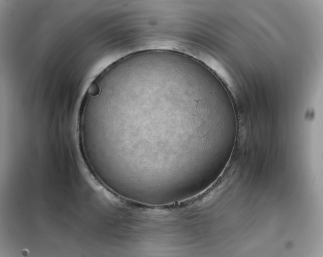 X0000102391088200808011554