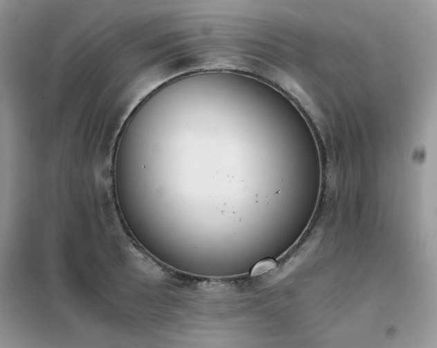 X0000102391089200808011554