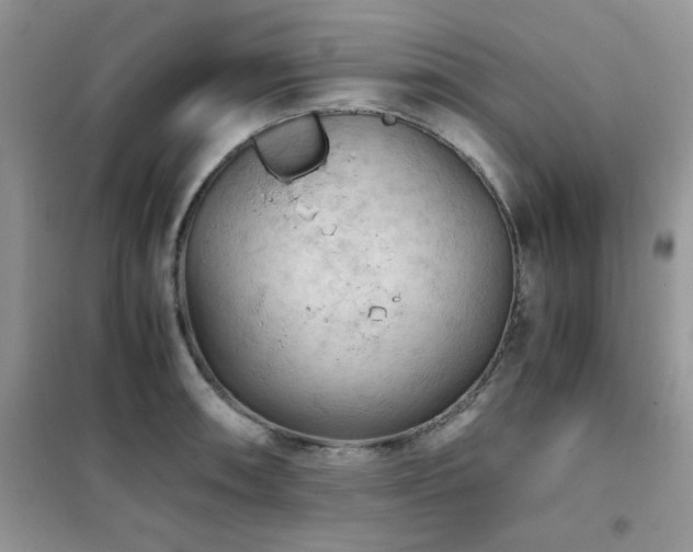 X0000102391090200808011554