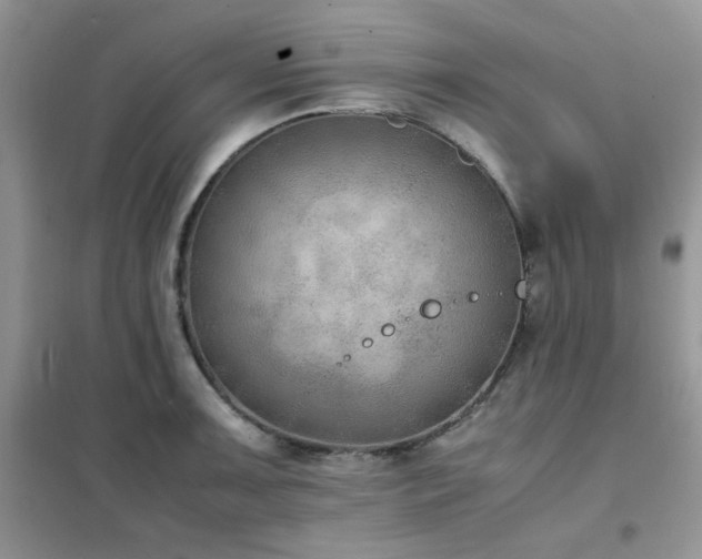 X0000102391091200808011554