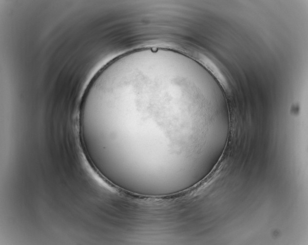 X0000102391092200808011554