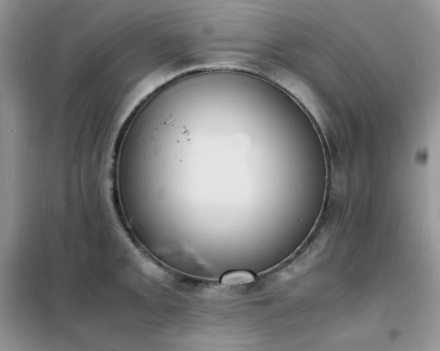 X0000102391093200808011554