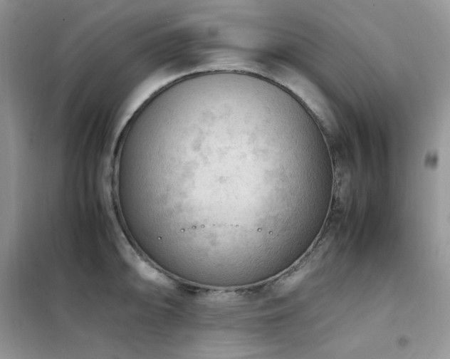 X0000102391094200808011554