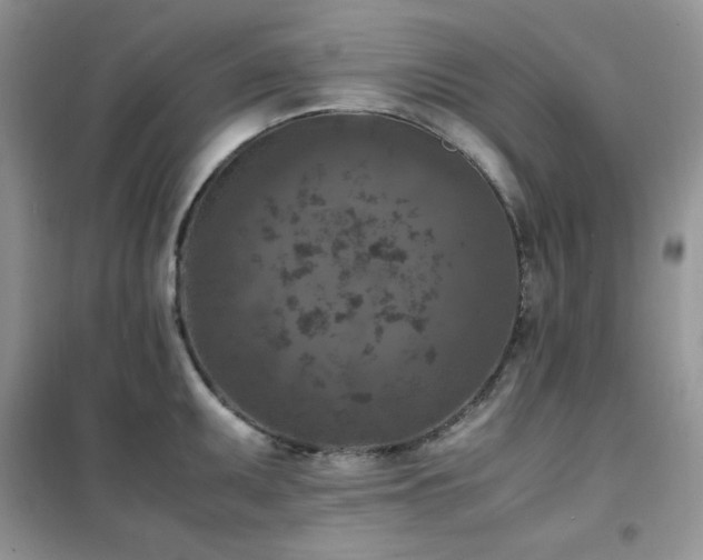 X0000102391095200808011554