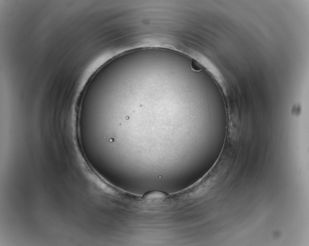 X0000102391096200808011554