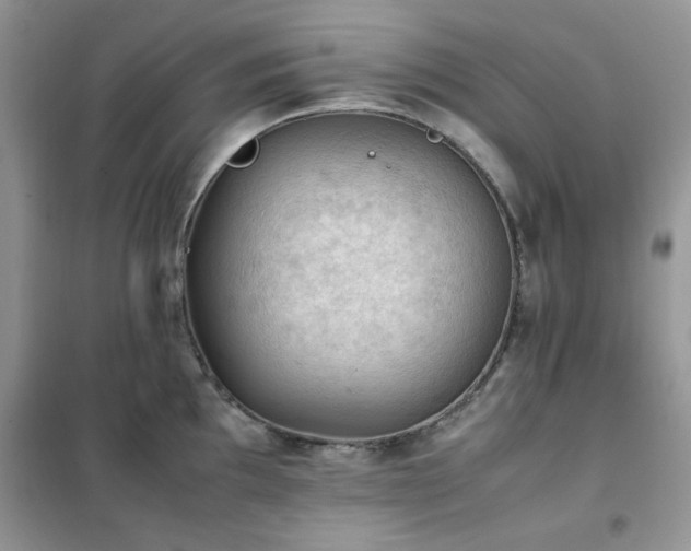 X0000102391097200808011554