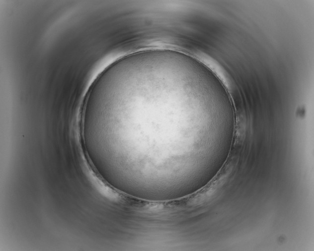 X0000102391098200808011554