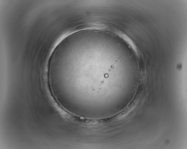 X0000102391099200808011554