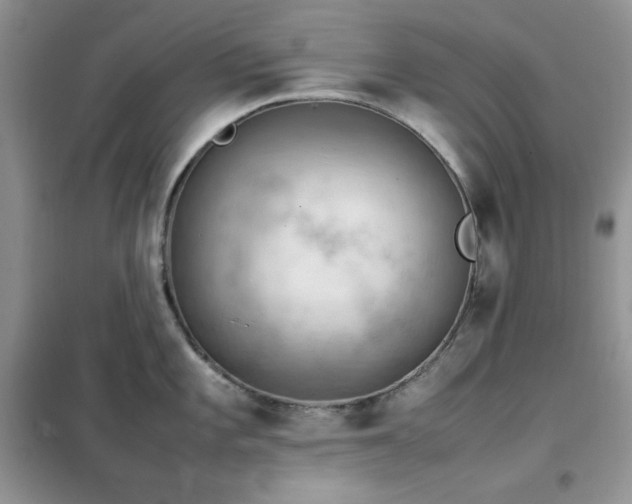 X0000102391101200808011554