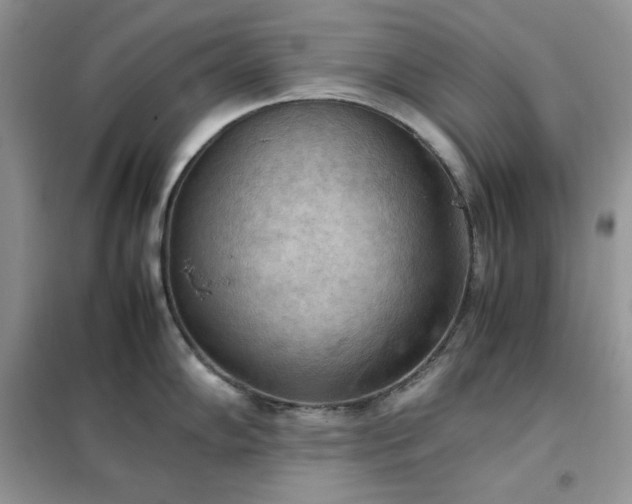 X0000102391102200808011554