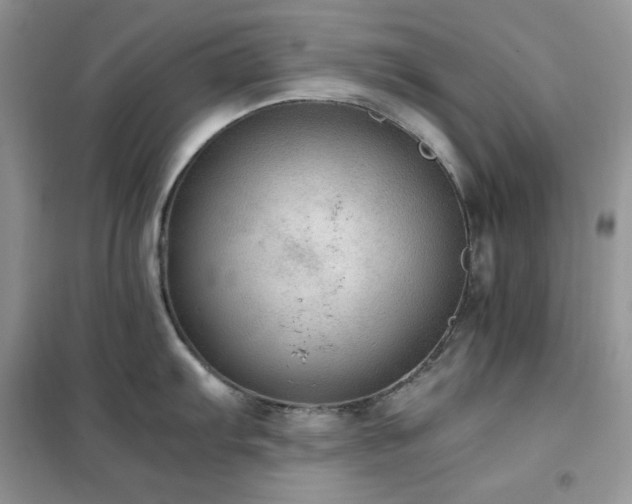 X0000102391103200808011554