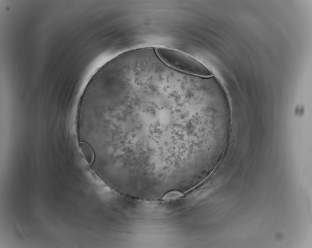 X0000102391104200808011554