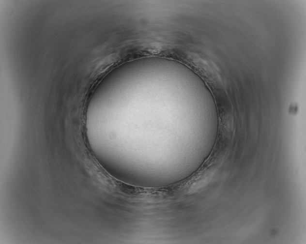 X0000102391105200808011553