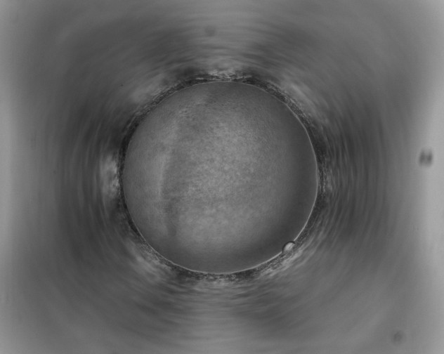 X0000102391106200808011553