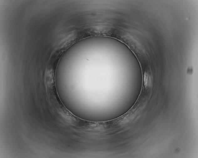 X0000102391107200808011553