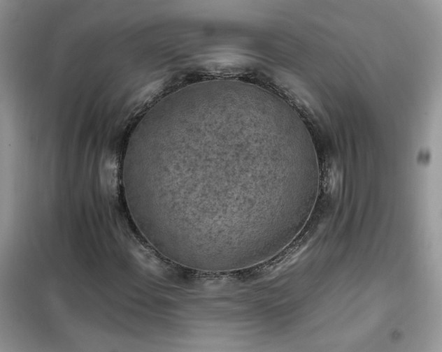 X0000102391108200808011553