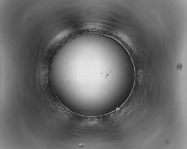 X0000102391111200808011553